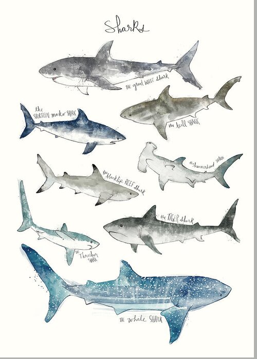 Sharks Greeting Card featuring the painting Sharks by Amy Hamilton