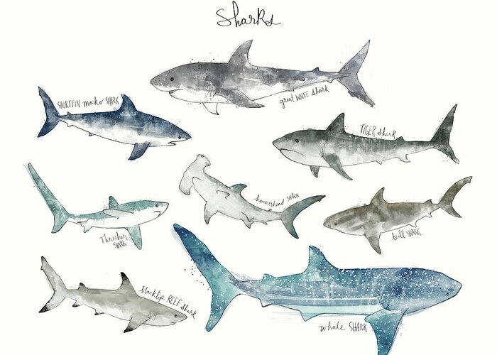 Sharks Greeting Card featuring the painting Sharks - Landscape Format by Amy Hamilton