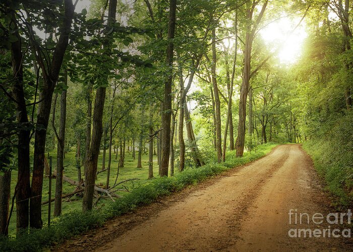 Dirt Road Greeting Card featuring the photograph Sheffield Mine Road by Tim Wemple