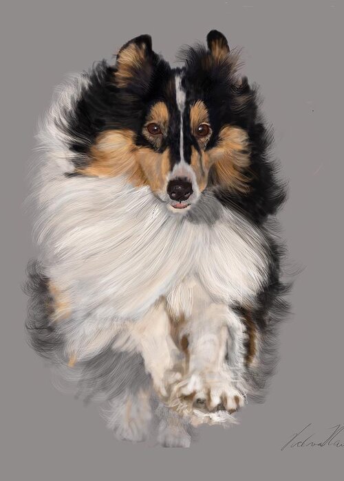 Sheltie Greeting Card featuring the digital art Sheltie 8x10 by Victoria Newton