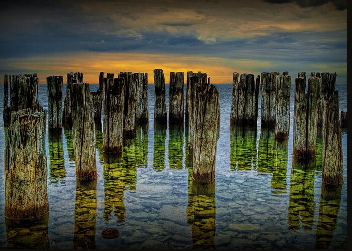 Art Greeting Card featuring the photograph Shore Pilings at Sunset by Fayette State Park by Randall Nyhof