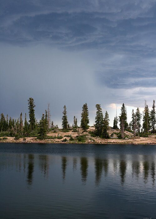 Landscape Greeting Card featuring the photograph Shoreline Pine Trees and Storm by Brett Pelletier