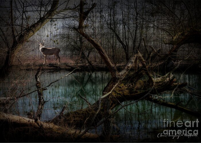 Silent Greeting Card featuring the digital art Silent Forest by Chris Armytage