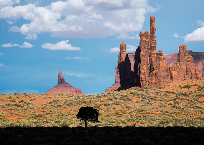 Monument Valley Greeting Card featuring the photograph Silhouetted Tree at Monument Valley by Mary Lee Dereske