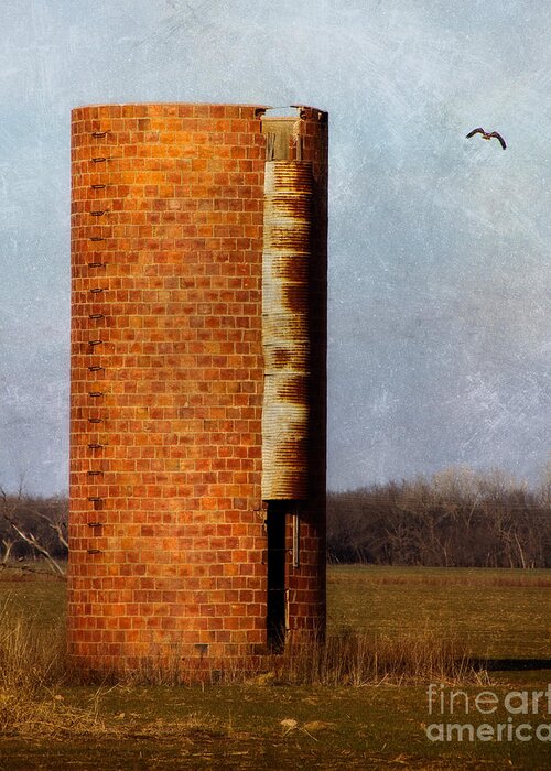 Abandoned Greeting Card featuring the photograph Silo by Lana Trussell