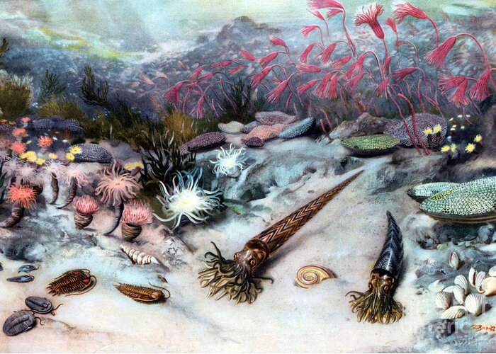 Prehistory Greeting Card featuring the photograph Silurian Seascape by Science Source