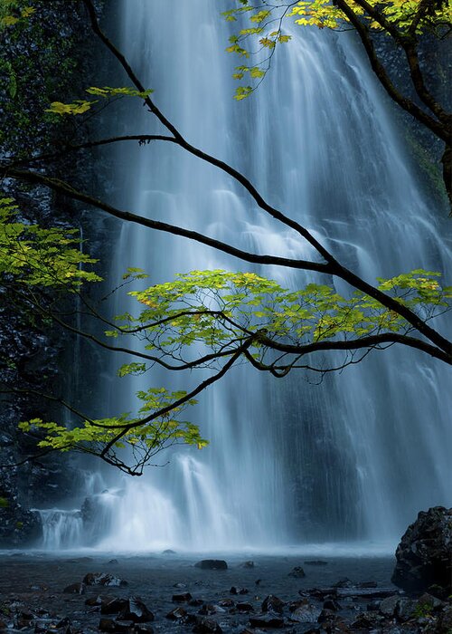 Waterfall Greeting Card featuring the photograph Silver Fall by Andrew Kumler