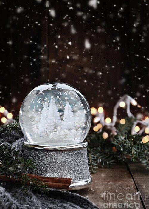 Snowglobe Greeting Card featuring the photograph Silver Snow Globe by Stephanie Frey