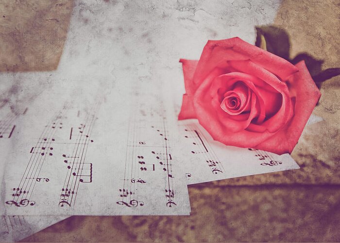 Rose Greeting Card featuring the photograph Sing Me A Love Song by Elvira Pinkhas