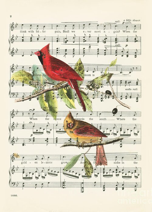 Music Greeting Card featuring the drawing Singing cardinals, vintage sheet music by Delphimages Photo Creations