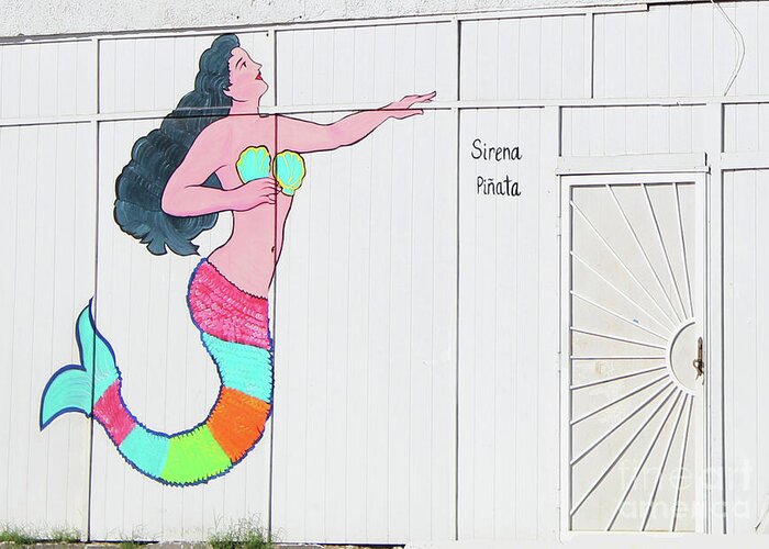 Mermaid Greeting Card featuring the photograph SIRENAs DOOR by Joe Pratt