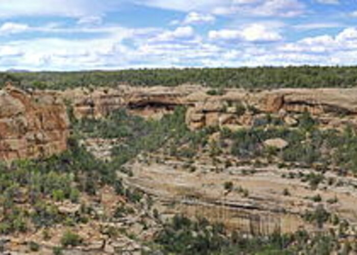 Colorado Greeting Card featuring the photograph Sites At Mesa Verde by Ron Weathers