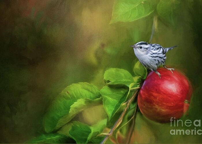Black And White Warbler Greeting Card featuring the photograph Sitting on an Apple by Eva Lechner