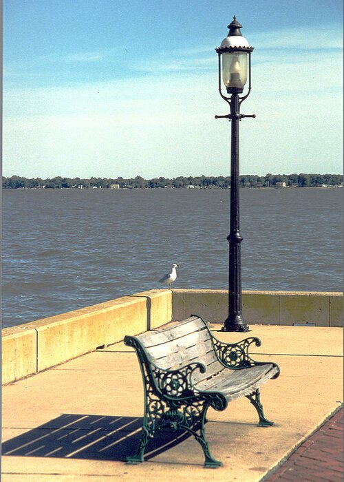 Delaware River Greeting Card featuring the photograph Sitting on the Delaware by Emery Graham