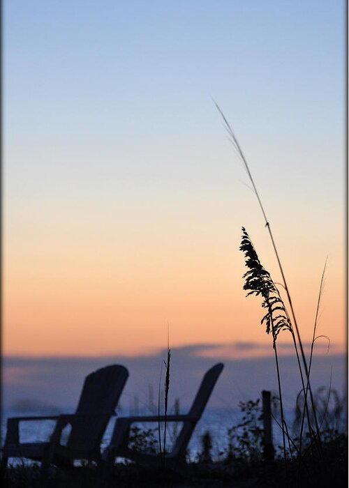 Sunset Greeting Card featuring the photograph Sitting Pretty by Rose Hill