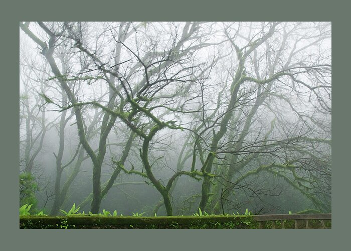 Monsoon Greeting Card featuring the photograph SKN 3720 Monsoon Landscape by Sunil Kapadia