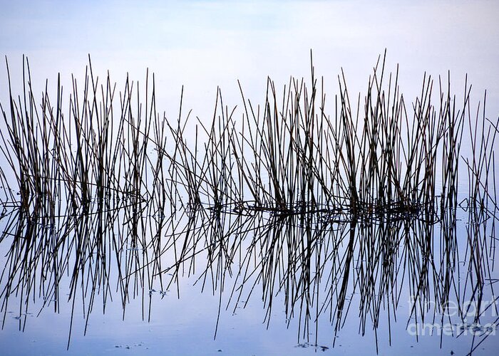 Water Greeting Card featuring the photograph Sky Needles by Lorenzo Cassina