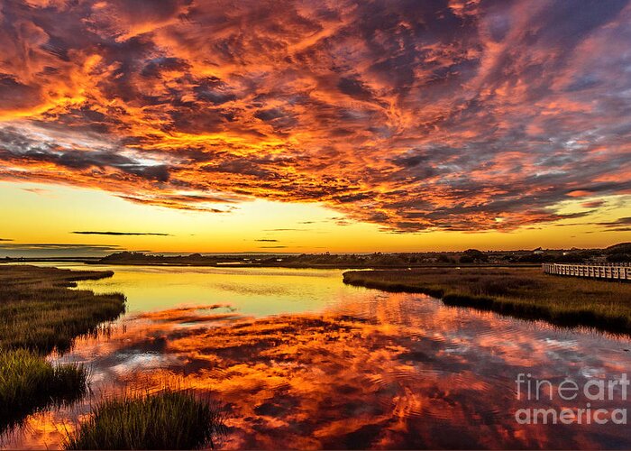 Sunset Greeting Card featuring the photograph Sky on Fire by DJA Images