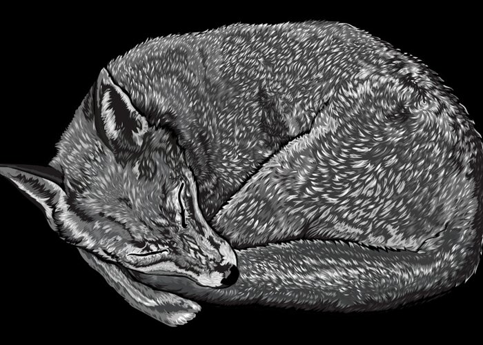 Fox Greeting Card featuring the digital art Sleeping Fox by Stevyn Llewellyn