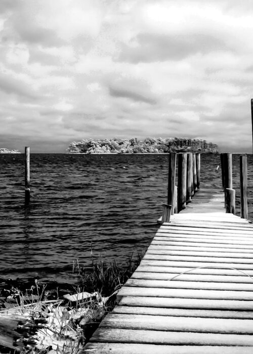 Dock Greeting Card featuring the photograph Slippery Dock by Hayden Hammond