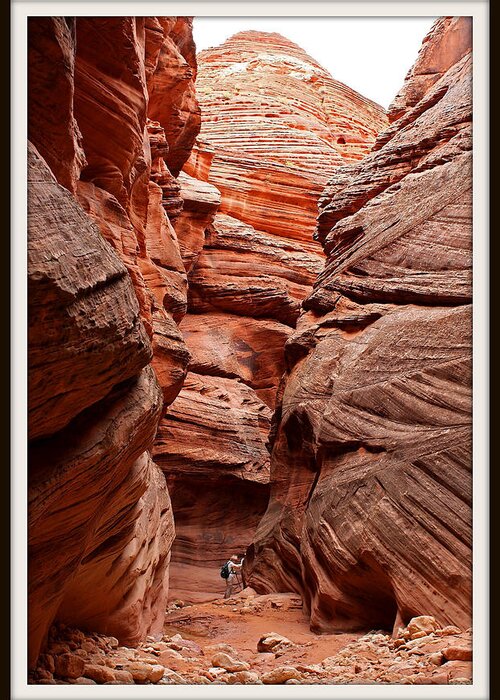 Slot Canyon Greeting Card featuring the photograph Slot Canyons by Farol Tomson
