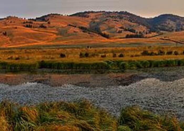 Slough Creek Greeting Card featuring the photograph Slough Creek Sunrise Reflections Panorama by Adam Jewell