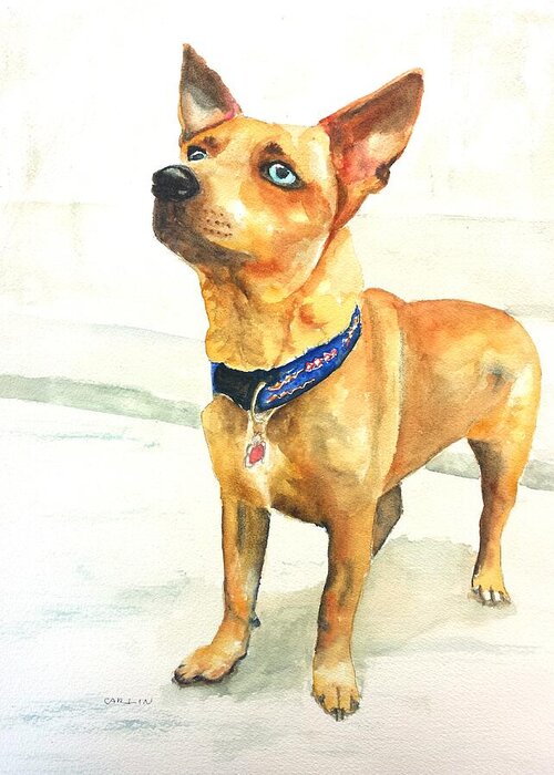 Dog Greeting Card featuring the painting Small short hair brown dog by Carlin Blahnik CarlinArtWatercolor