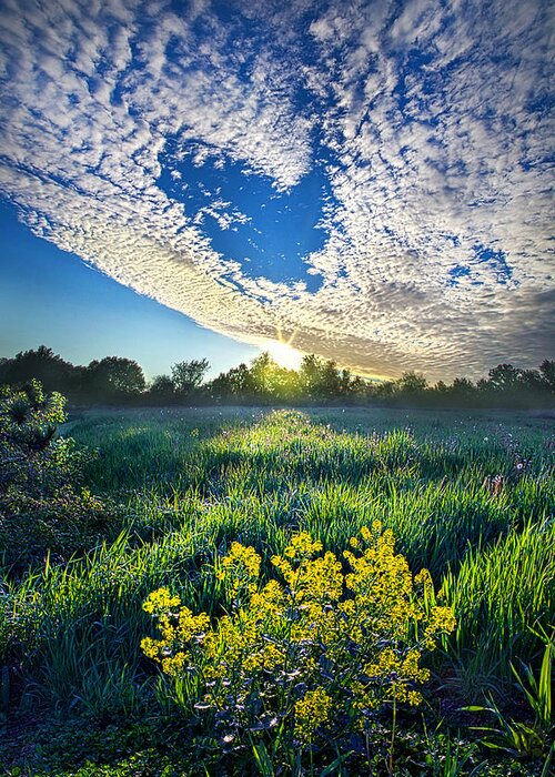 Flowers Greeting Card featuring the photograph Small Spaces In Between by Phil Koch