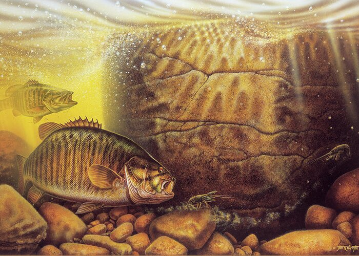 Jon Q Wright Greeting Card featuring the painting Smallmouth River by JQ Licensing