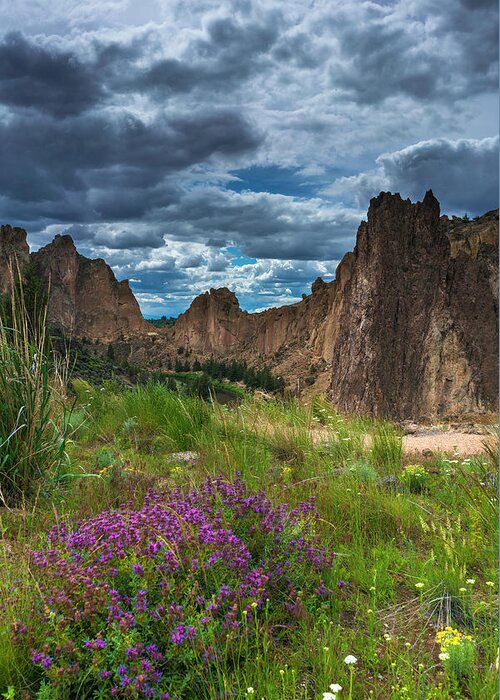  Greeting Card featuring the photograph Smith Rock by Bryan Xavier