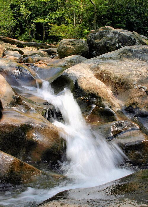 Waterfall Greeting Card featuring the photograph Smoky Mountain Flow by Kristin Elmquist