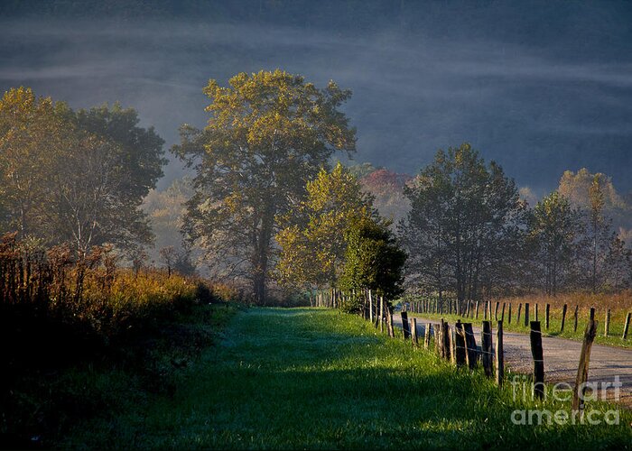 Cades Greeting Card featuring the photograph Smoky Mountain Morning by Douglas Stucky