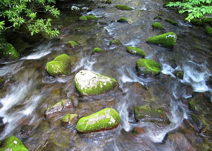 Great Smoky Mountains Greeting Card featuring the photograph Smoky Mountain Stream by Connor Beekman