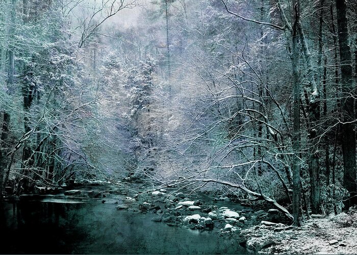 Winter Scene Greeting Card featuring the photograph Smoky Mountain Winter by Mike Eingle