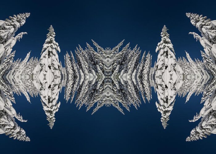 Frost Greeting Card featuring the digital art Snow Covered Trees Kaleidoscope by Pelo Blanco Photo