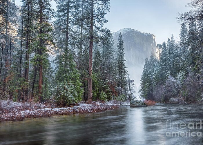 Yosemite Greeting Card featuring the photograph Snow Dusted Morning by Anthony Michael Bonafede
