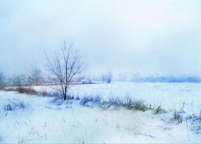 Snow Greeting Card featuring the photograph Snow Field by John Rivera