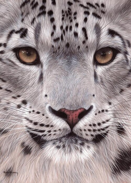 Snow Leopard Greeting Card featuring the painting Snow Leopard Face by Rachel Stribbling