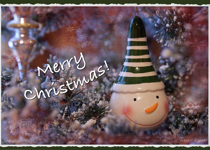 Christmas Card Greeting Card featuring the photograph Snow Man Smile by Terri Harper