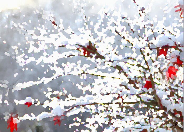 Nature Greeting Card featuring the mixed media Snow on the Maple by Shelli Fitzpatrick