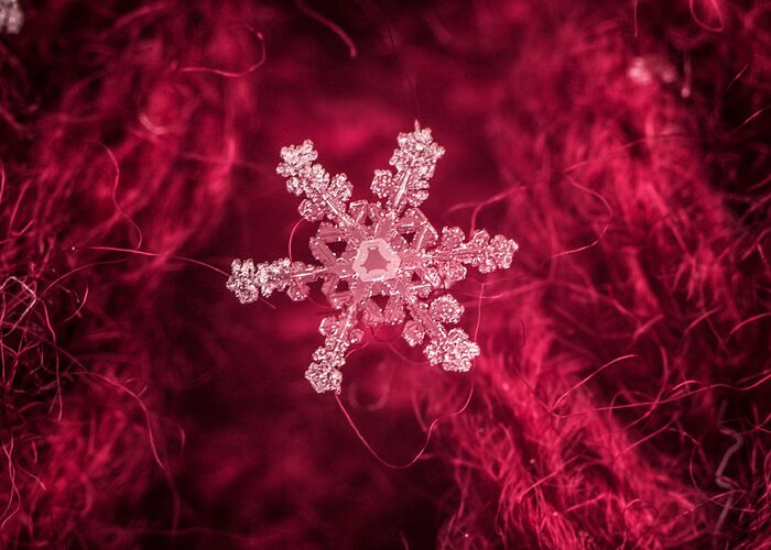 Colorado Greeting Card featuring the photograph Snowflake on Red by Dawn Key