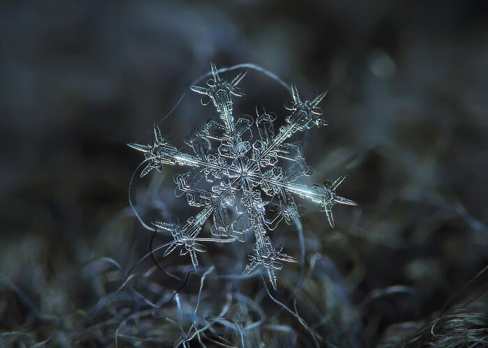 Snowflake Greeting Card featuring the photograph Snowflake photo - Starlight by Alexey Kljatov