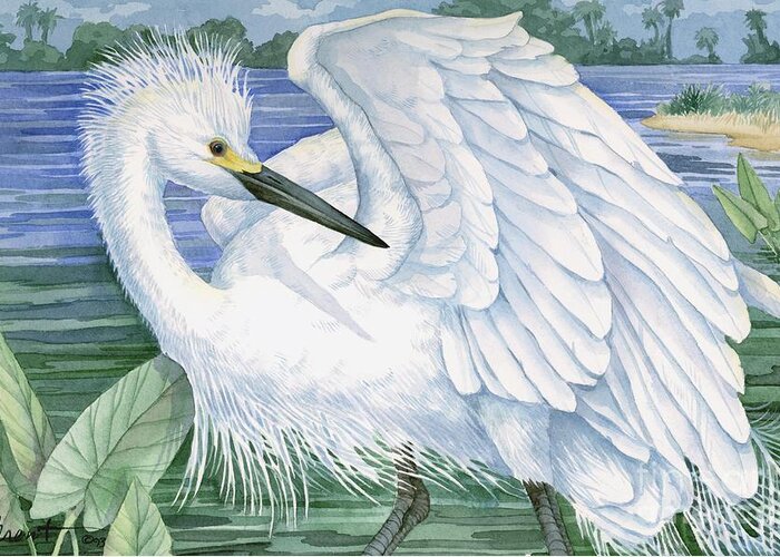Coast Greeting Card featuring the painting Snowy Egret by Paul Brent