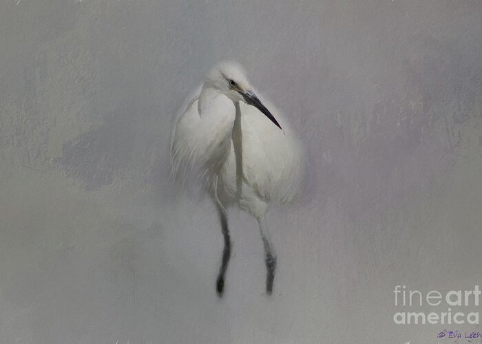 Snowy Egret Greeting Card featuring the mixed media Snowy Elegance by Eva Lechner