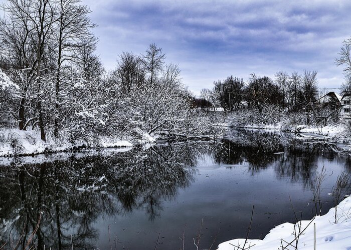 Snow Greeting Card featuring the photograph Snowy Ellicott Creek by Nicole Lloyd