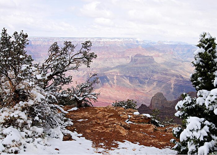 Grand Canyon National Park Greeting Card featuring the photograph Snowy Frame - Grand Canyon by Larry Ricker