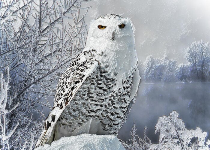 Snowy Owl Greeting Card featuring the digital art Snowy Owl by Pennie McCracken