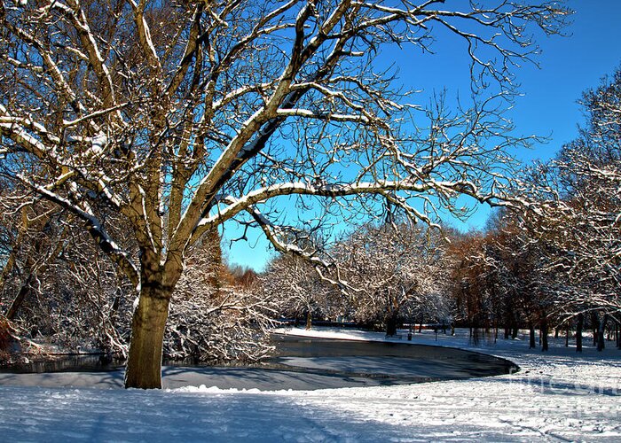 Landscape Greeting Card featuring the photograph Snowy Pond by Stephen Melia