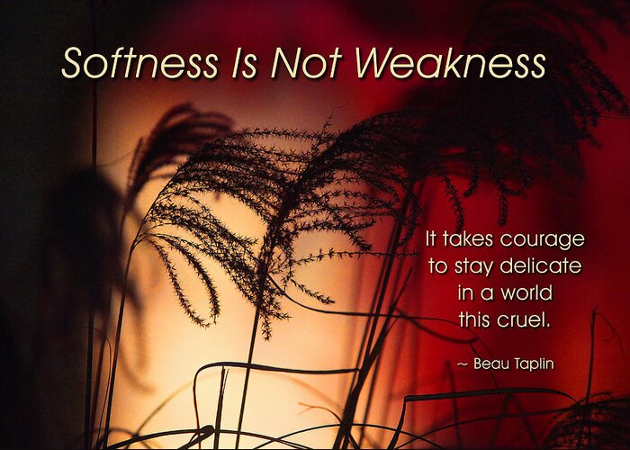 Quotation Greeting Card featuring the photograph Softness Is Not Weakness by Mike Flynn
