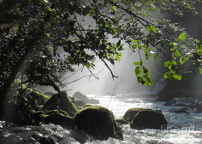 River Falls Rocks Moss Trees Leaves Water Light Shadow Green White Grey Black Brown Mist Branches Foam Shiny Landscape Sunlight Greeting Card featuring the photograph Solace by Ida Eriksen